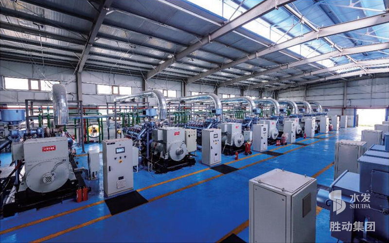 勝動（dòng）集團