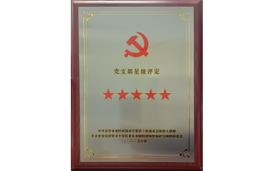 雙星閃耀映初心 黨建引領強發展&mdash;&mdash;勝動集團兩（liǎng）黨（dǎng）支部同獲五星級殊榮