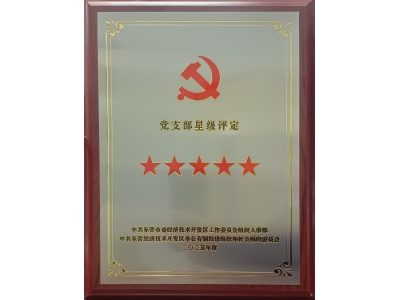 雙星閃耀映初心 黨建引（yǐn）領強發展&mdash;&mdash;勝動集團兩黨支部（bù）同獲五星級殊榮